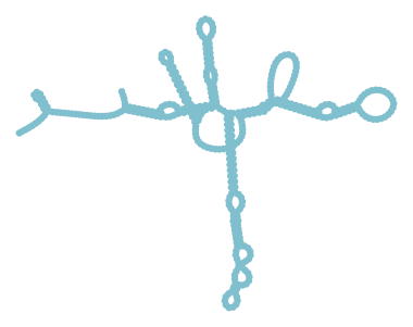 Consensus structure of IRESG273