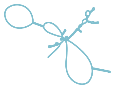 Consensus structure of IRESG274