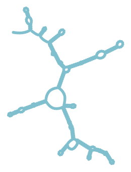 Consensus structure of IRESG275