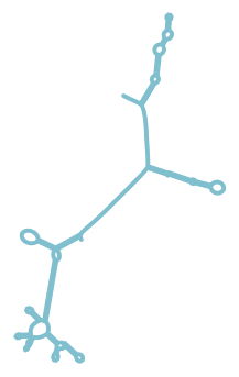 Consensus structure of IRESG276