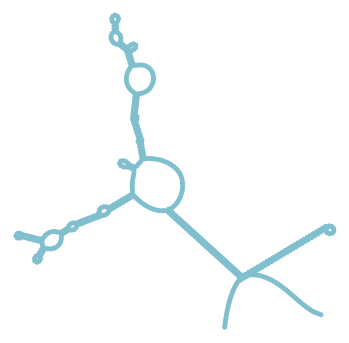 Consensus structure of IRESG277
