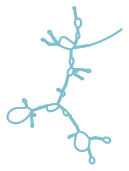 Consensus structure of IRESG278