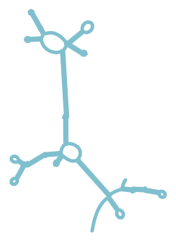 Consensus structure of IRESG280
