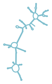 Consensus structure of IRESG281