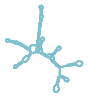 Consensus structure of IRESG282