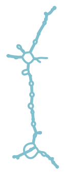 Consensus structure of IRESG284