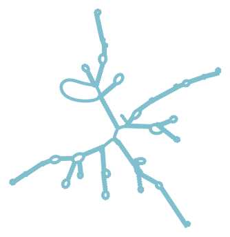 Consensus structure of IRESG285