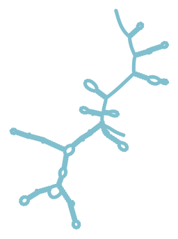 Consensus structure of IRESG287