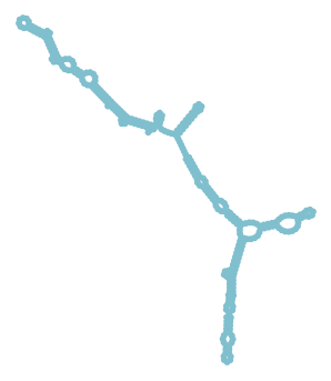 Consensus structure of IRESG288