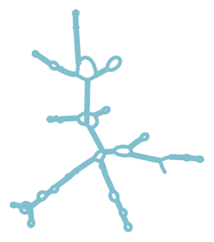 Consensus structure of IRESG289