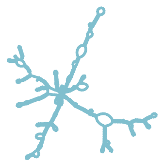 Consensus structure of IRESG290