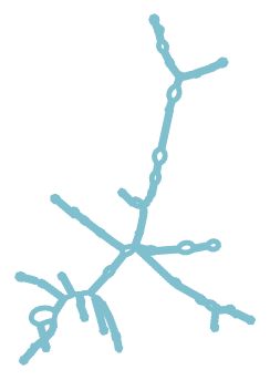 Consensus structure of IRESG291