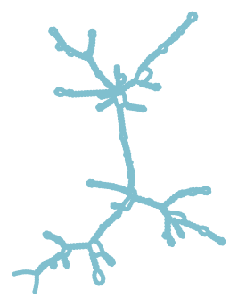 Consensus structure of IRESG293