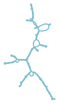 Consensus structure of IRESG294