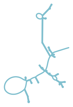 Consensus structure of IRESG295