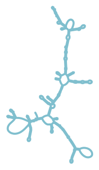Consensus structure of IRESG297