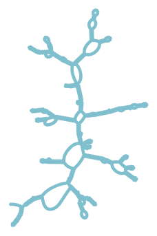 Consensus structure of IRESG298