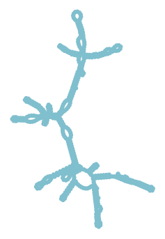 Consensus structure of IRESG299