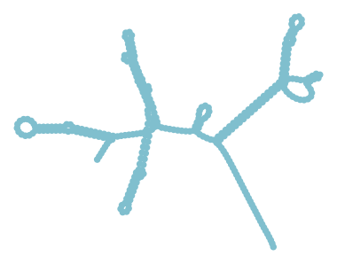 Consensus structure of IRESG301