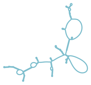 Consensus structure of IRESG305