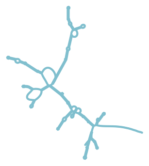 Consensus structure of IRESG306