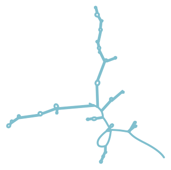 Consensus structure of IRESG308