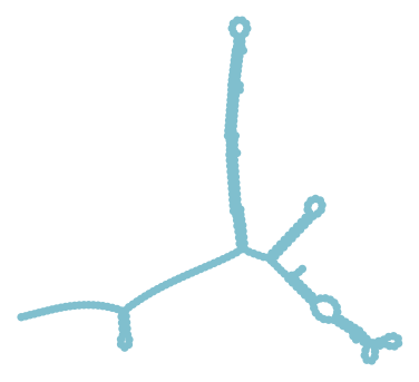 Consensus structure of IRESG312