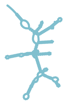 Consensus structure of IRESG313