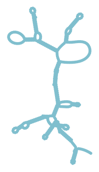 Consensus structure of IRESG314