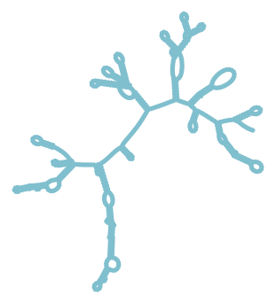 Consensus structure of IRESG315