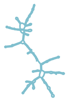 Consensus structure of IRESG316