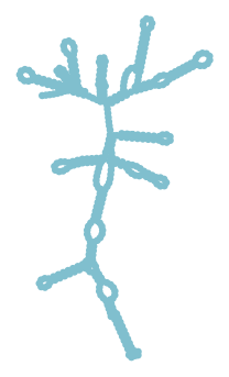 Consensus structure of IRESG317