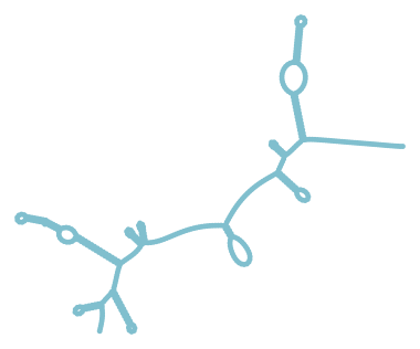 Consensus structure of IRESG318