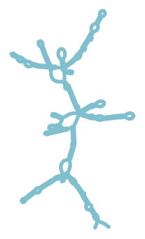 Consensus structure of IRESG319