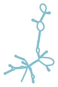 Consensus structure of IRESG320