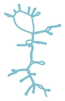 Consensus structure of IRESG324