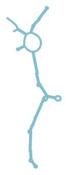 Consensus structure of IRESG325