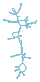 Consensus structure of IRESG326