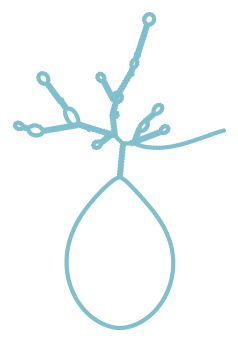 Consensus structure of IRESG328