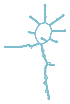 Consensus structure of IRESG329