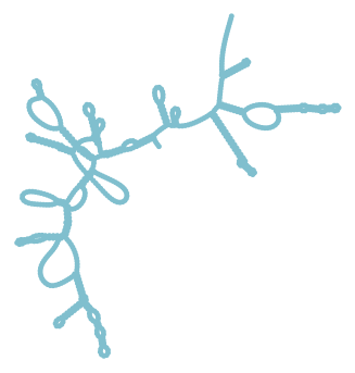 Consensus structure of IRESG330