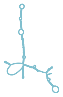 Consensus structure of IRESG331
