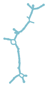 Consensus structure of IRESG333