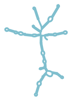 Consensus structure of IRESG334