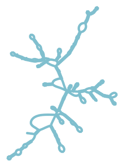 Consensus structure of IRESG335