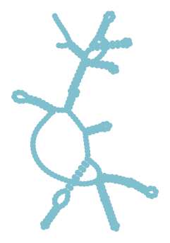 Consensus structure of IRESG336