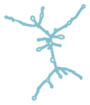 Consensus structure of IRESG337