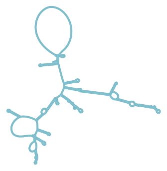 Consensus structure of IRESG338