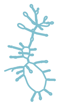 Consensus structure of IRESG339