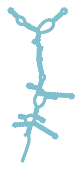 Consensus structure of IRESG340